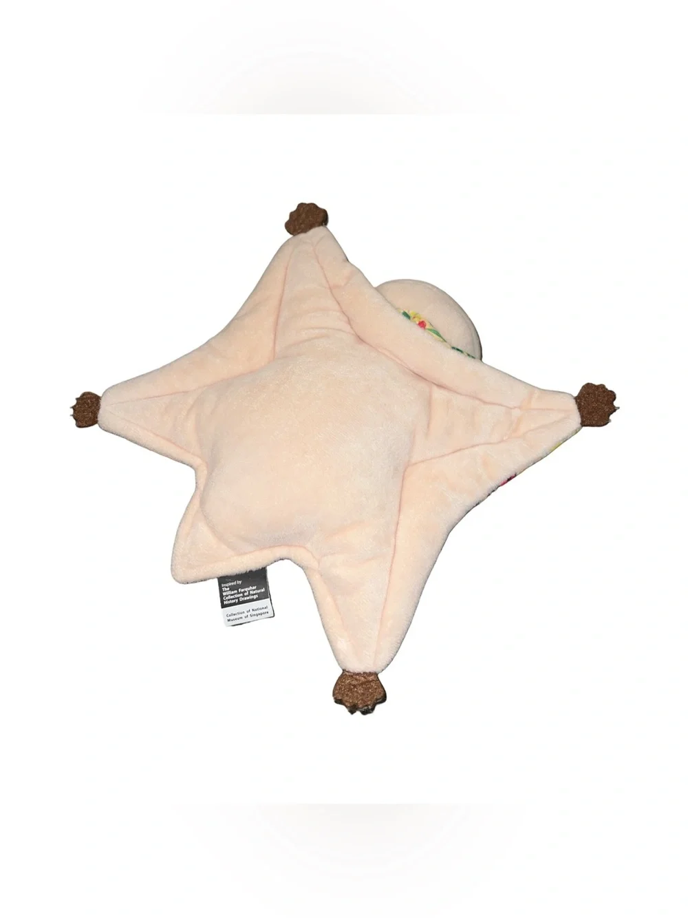 Rare William Farquhar Collection of Natural History Drawings Star Cat/ Bat Plush